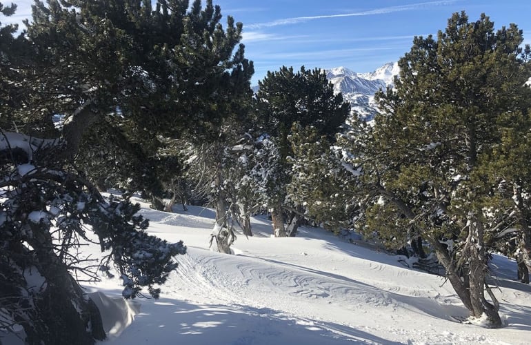 Snowshoeing in Les Angles, Pyrénées-Orientales