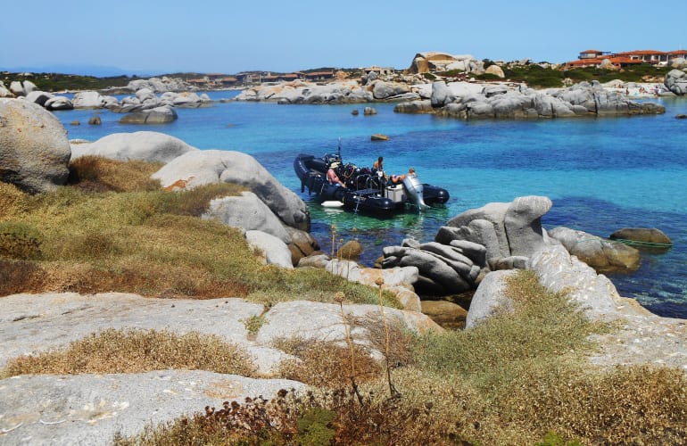 Private diving in Pianottoli near Bonifacio