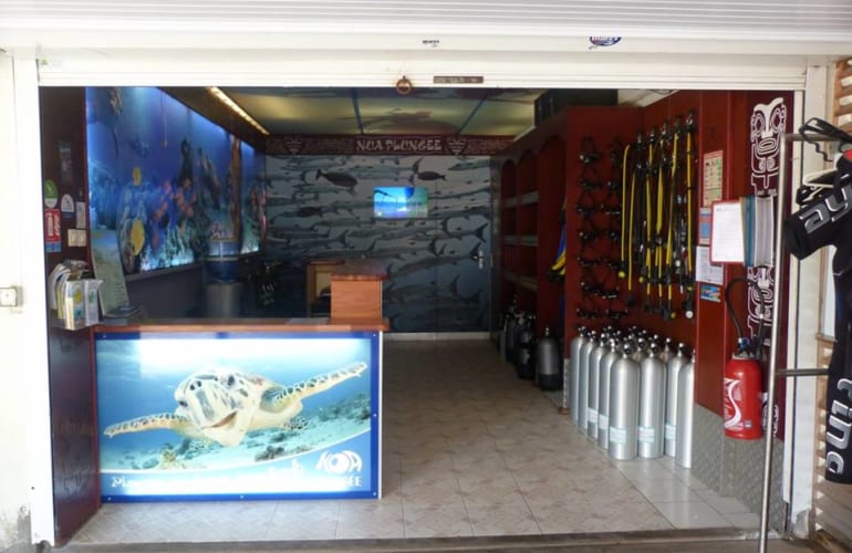 Scuba diving discovery at Saint-François, Guadeloupe