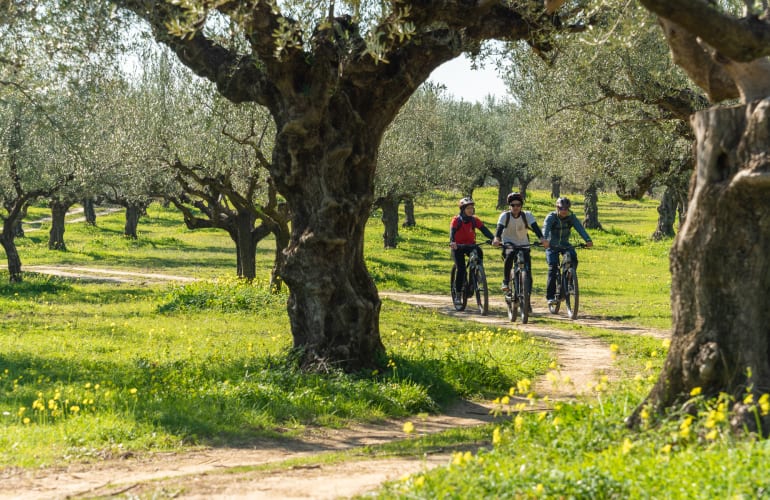 Guided E-bike Olive Grove Tour in Kalamata