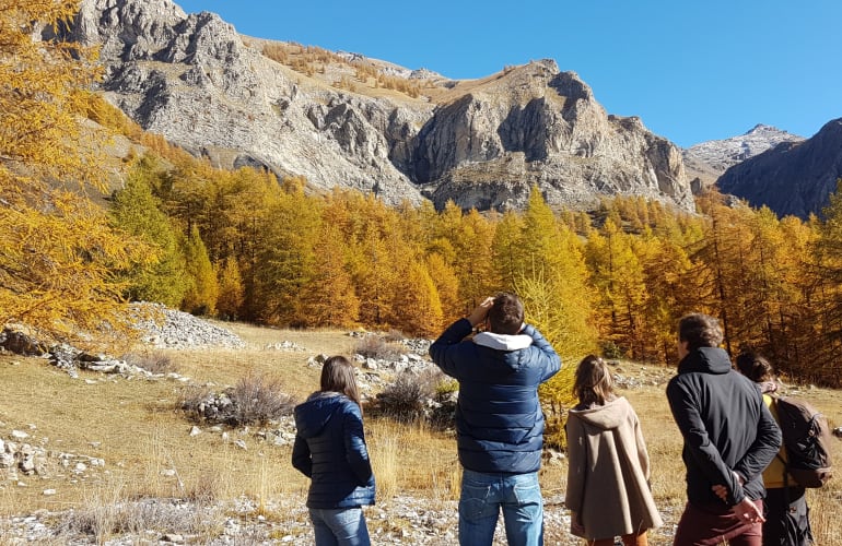 Randonnée du Brame du Cerf dans le Mercantour