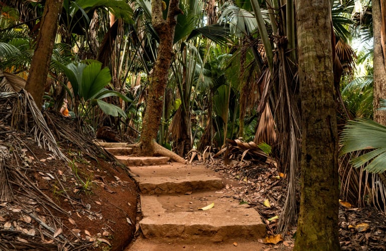 Guided Tour of Praslin and La Digue from Mahé, Seychelles