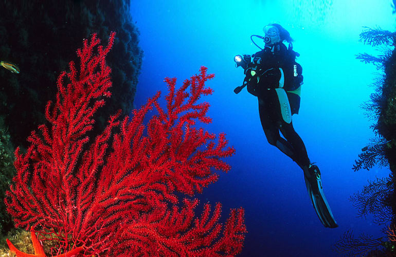 Private diving in Pianottoli near Bonifacio