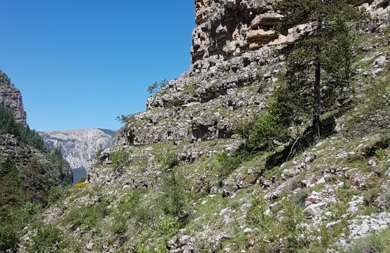 Randonnée dans les Gorges de Saint-Pierre au départ d'Allos