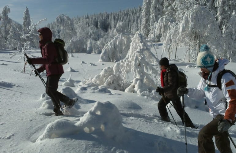 Schneeschuhwanderungen in Chartreuse bei Grenoble