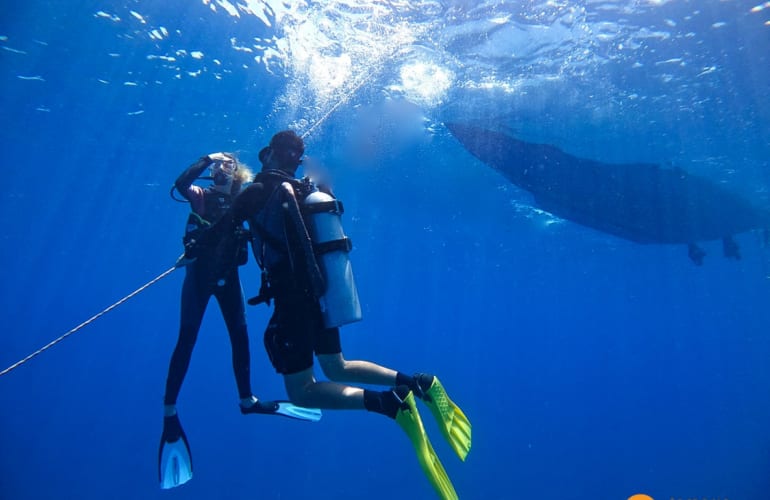 Découverte de la plongée dans la baie de Tamarin à l'Île Maurice