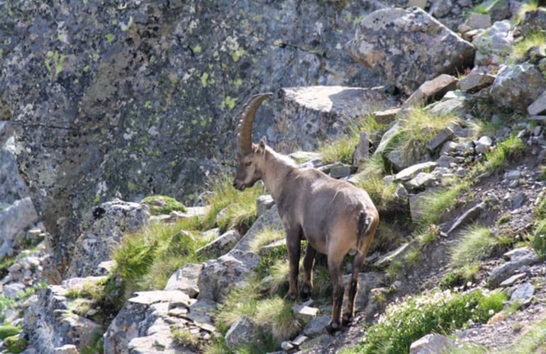Sensory discovery walk in Mercantour