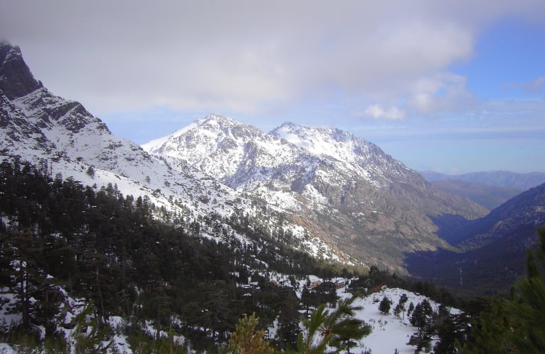 Guided Snowshoe Hike in the Niolo Valley, Corsica