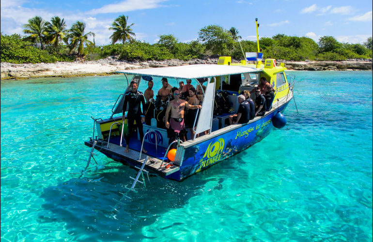 Descubrimiento de buceo en Saint-François, Guadalupe