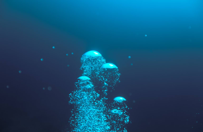 Scuba diving discovery at Saint-François, Guadeloupe