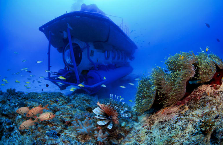 Submarine Excursion in Mauritius from Trou aux Biches