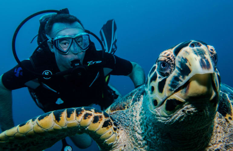 Two tank dives in Saint-François, Guadeloupe
