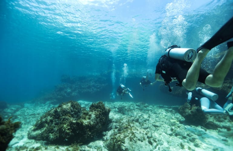 Descubrimiento de buceo en Saint-François, Guadalupe