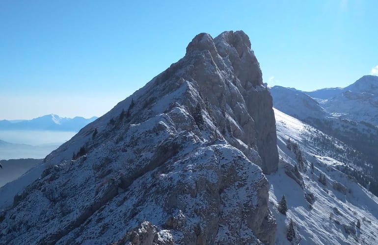 Guided Snowshoeing Hike in the Vercors Regional Nature Park, near Grenoble