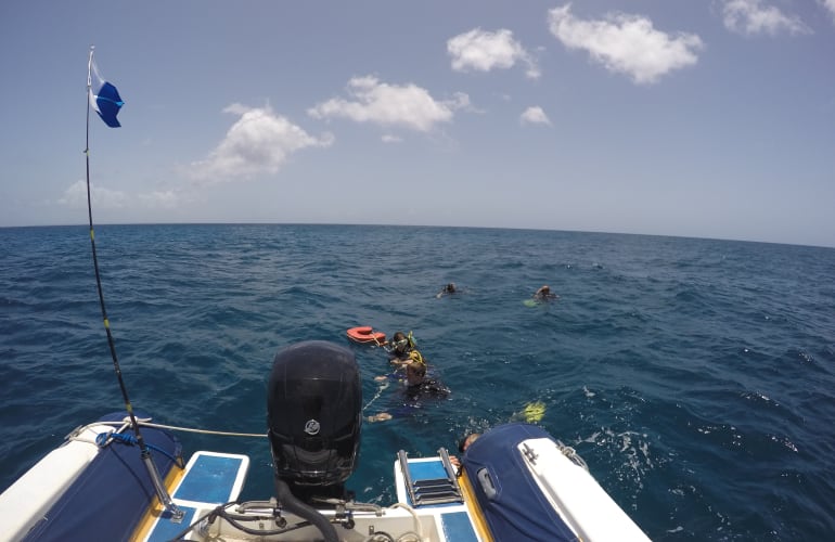 Baptême de plongée sur l'île de La Désirade, Guadeloupe