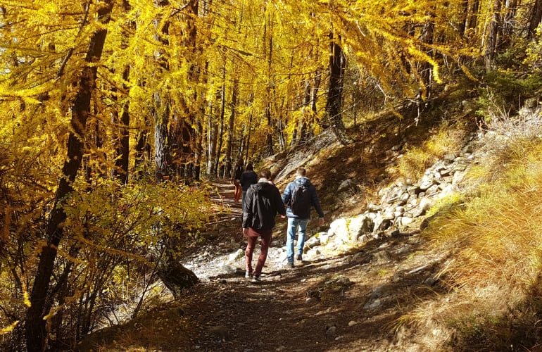Randonnée du Brame du Cerf dans le Mercantour