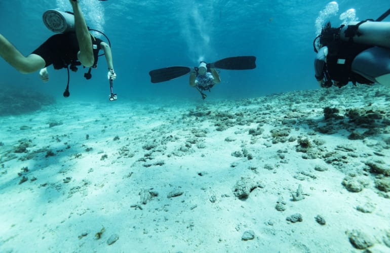 Descubrimiento de buceo en Saint-François, Guadalupe