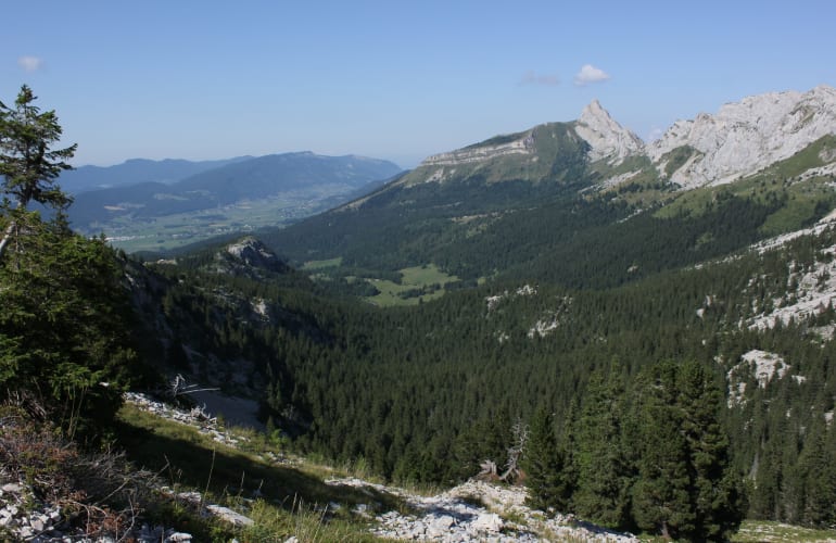 Randonnée guidée dans le Parc naturel régional du Vercors, près de Grenoble