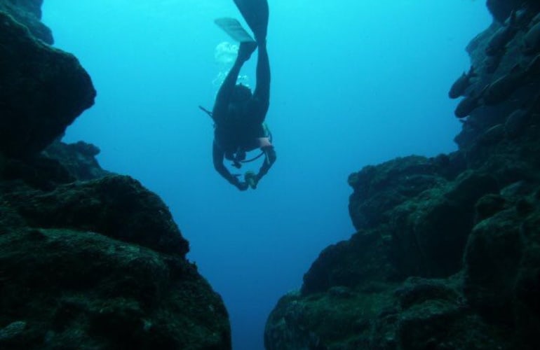 Découverte de la plongée dans la baie de Tamarin à l'Île Maurice