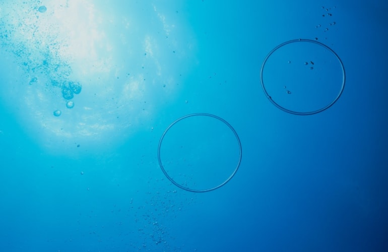 Taucherische Entdeckung in Saint-François, Guadeloupe