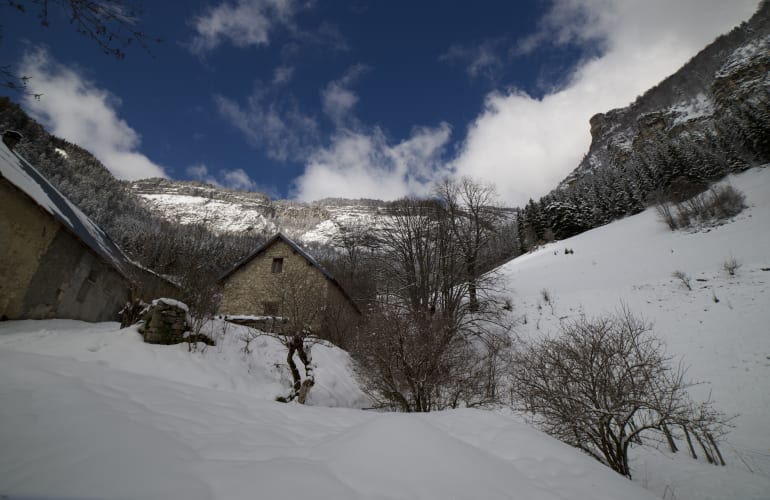 Guided Snowshoeing Hike in the Vercors Regional Nature Park, near Grenoble