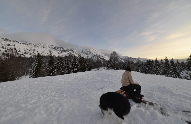 Randonnée découverte en raquettes à neige dans le Parc naturel régional du Vercors, près de Grenoble