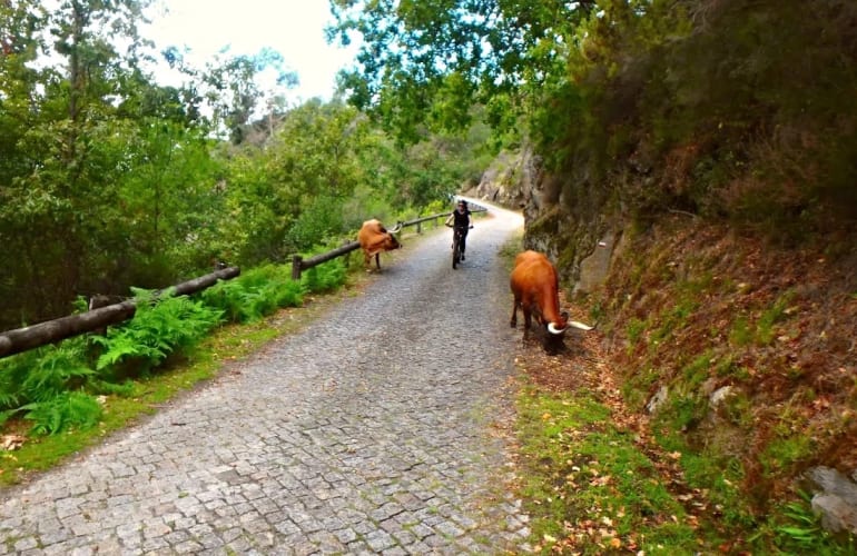 E-bike excursion in Peneda Gerês National Park, near Braga