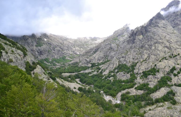 Wandern auf dem Vizzavona-Pass, Zentralkorsika