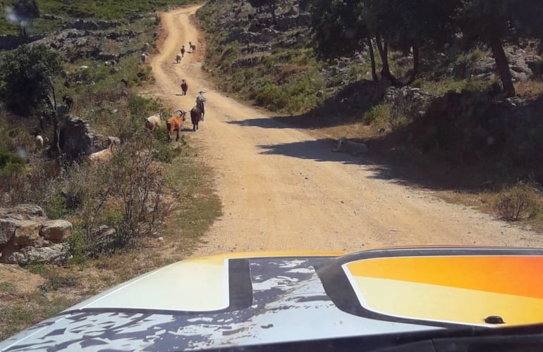 Randonnée en 4x4 dans les Agriates, au départ de Balagne