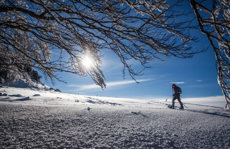 Randonnée raquettes à neige autour du Lioran, Massif du Cantal