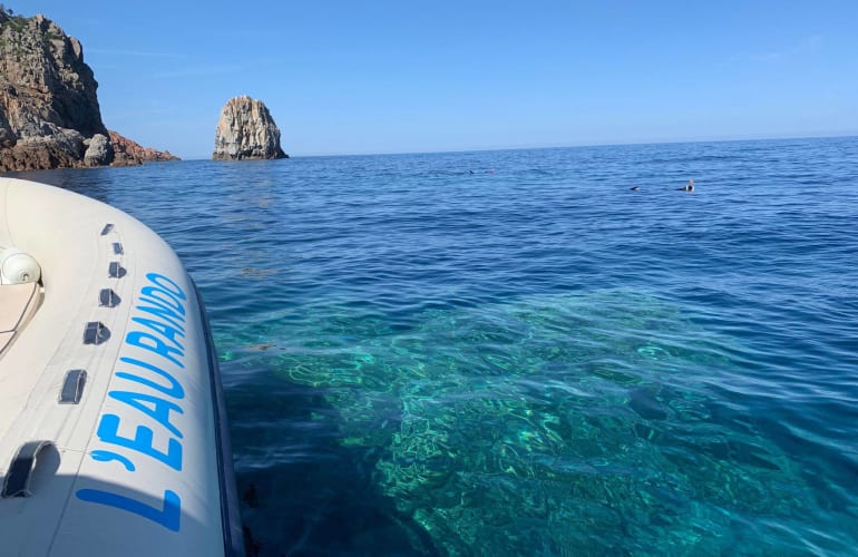 Snorkeling excursion in the bay of Cargèse, Corsica