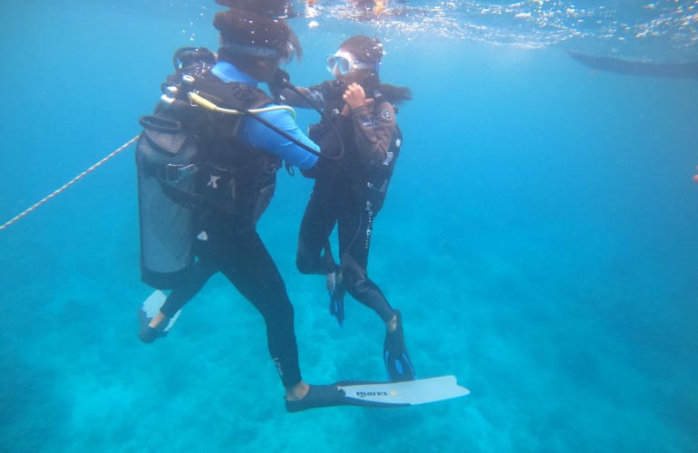 Découverte de la plongée dans la baie de Tamarin à l'Île Maurice