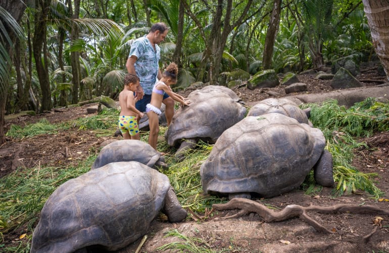Guided Tour to the South of Mahé from Victoria, Seychelles