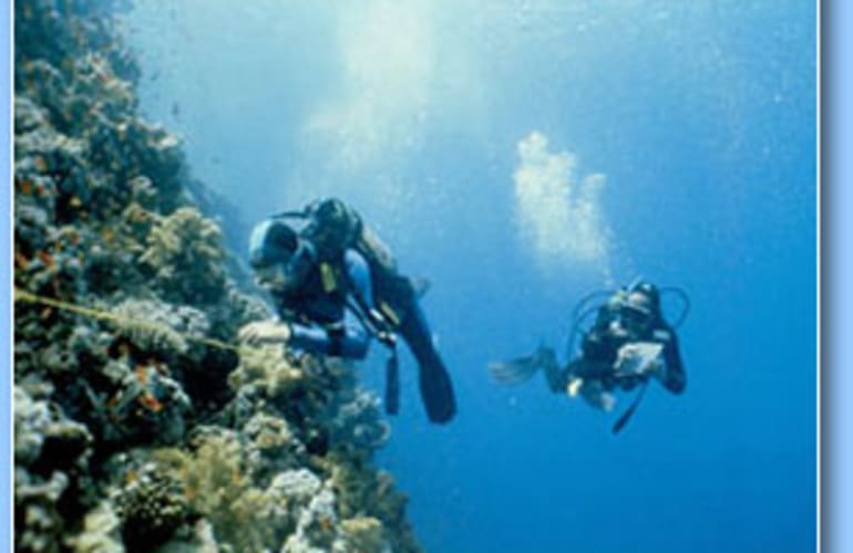 Discover scuba diving in Tamarin Bay in Mauritius