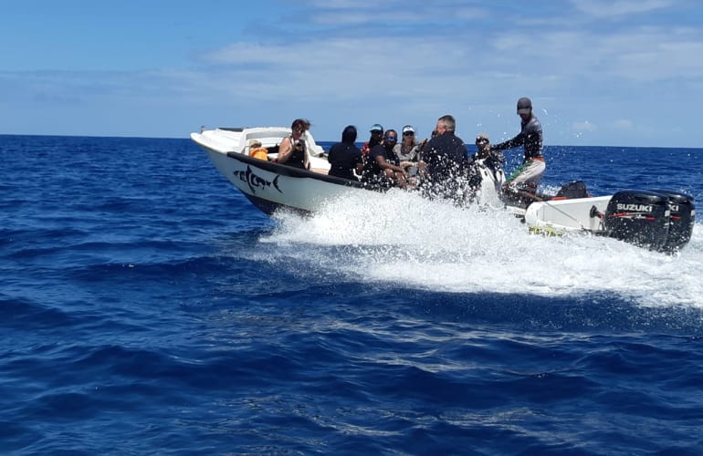 Descubra el buceo en Tamarin Bay en Mauricio