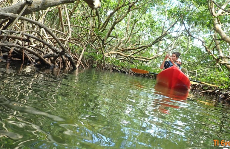 Sea kayak excursion from Morne-à-l'Eau, Guadeloupe