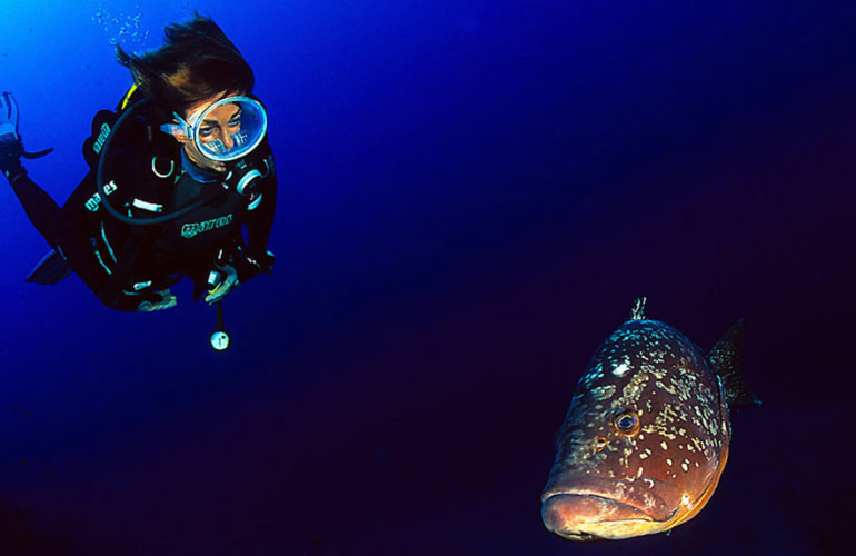 Private diving in Pianottoli near Bonifacio