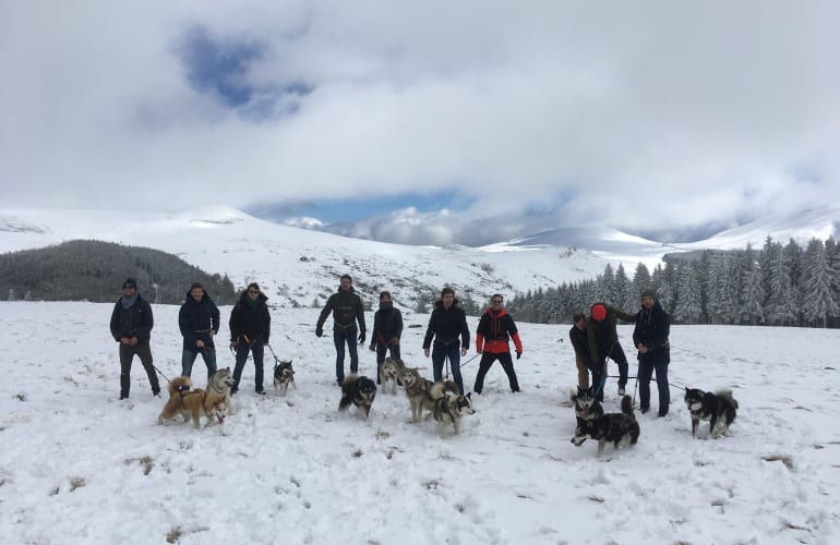 Hiking with Sled Dogs at Cisternes-la-Forêt, near Clermont-Ferrand