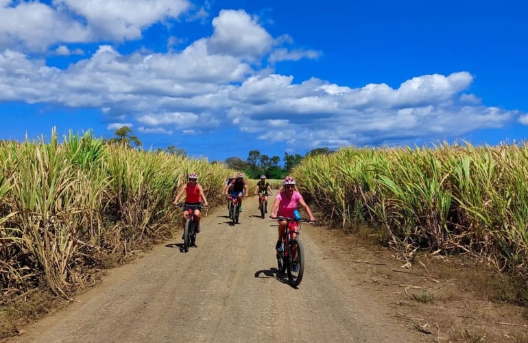 Electric Bike Excursion in Pamplemousses, Mauritius