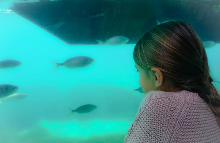 Unterwasserausflug in Bandol auf einem halbtauchfähigen Beobachtungs-Trimaran