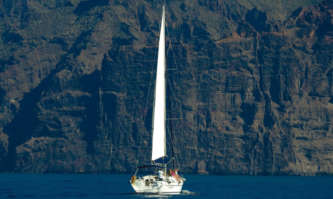 Excursion en bateau pour observer les baleines, les tortues et