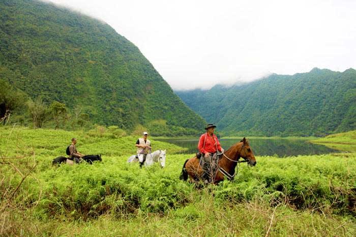 Randonnée à cheval au Grand Étang (La Réunion)