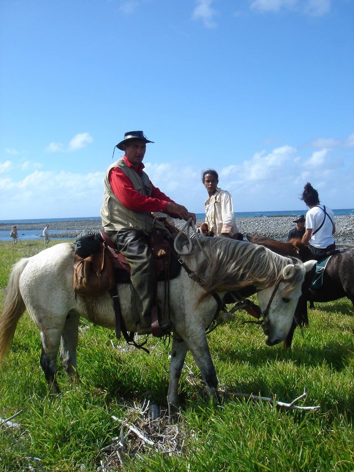 Randonnée à cheval au Bassin Bœuf, avec nage avec les chevaux - Image 2