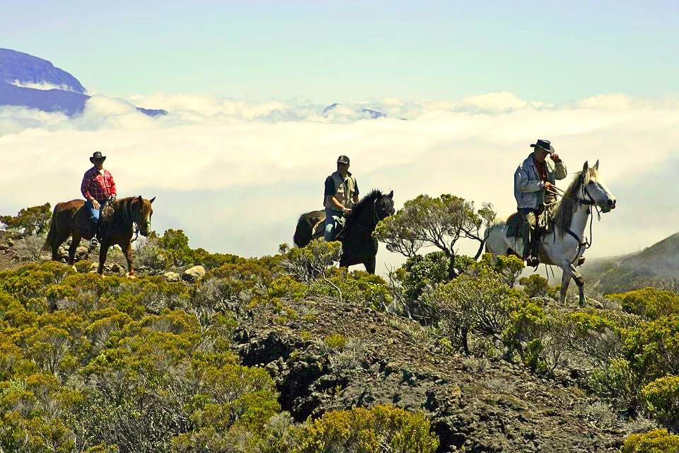 Randonnée à cheval au Piton de la Fournaise, au cœur des paysages volcaniques