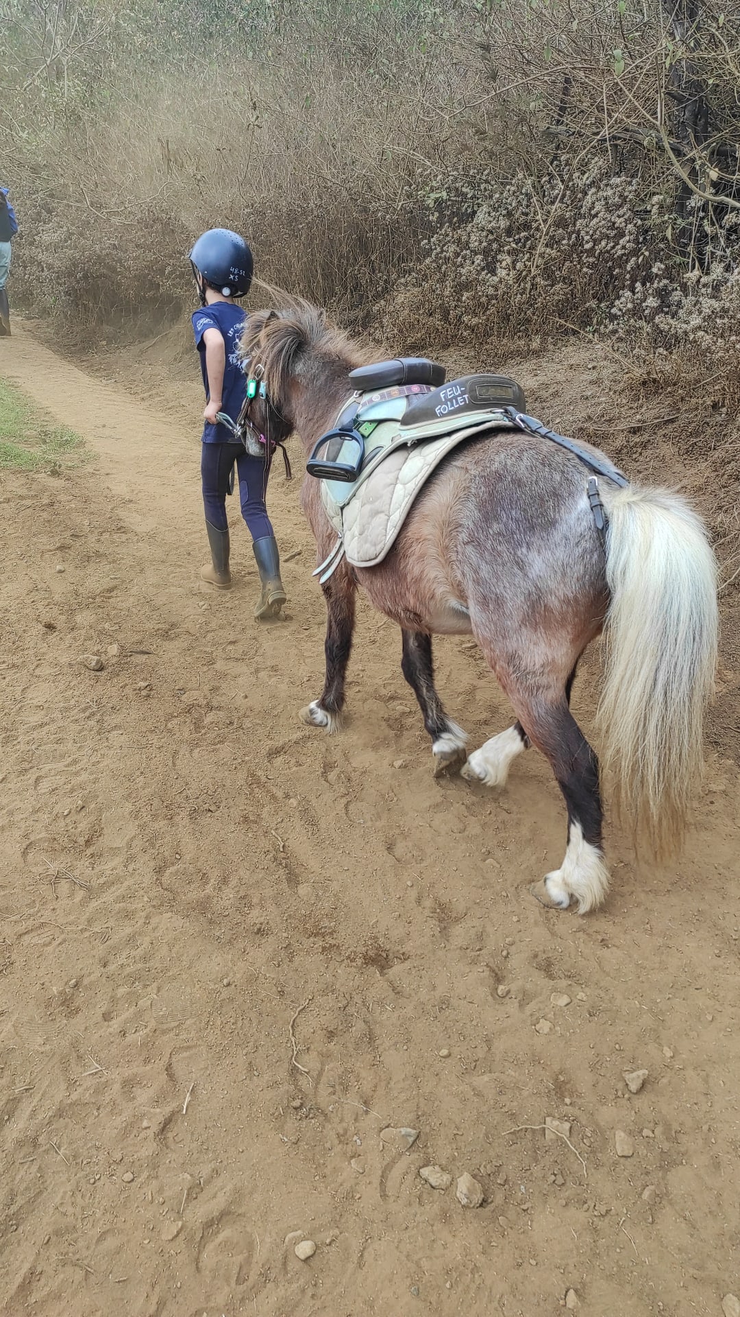 Balade à poney pour enfants sur le Piton Maïdo, avec goûter inclus - Image 3
