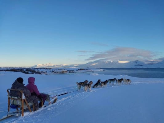 Dog Sledding in Akureyri