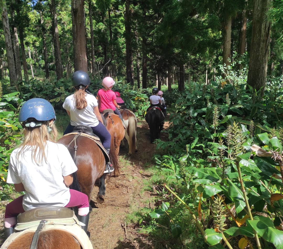 Balade à poney pour enfants sur le Piton Maïdo, avec goûter inclus