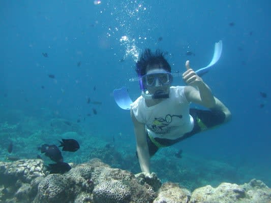 Excursion de snorkeling à Faial