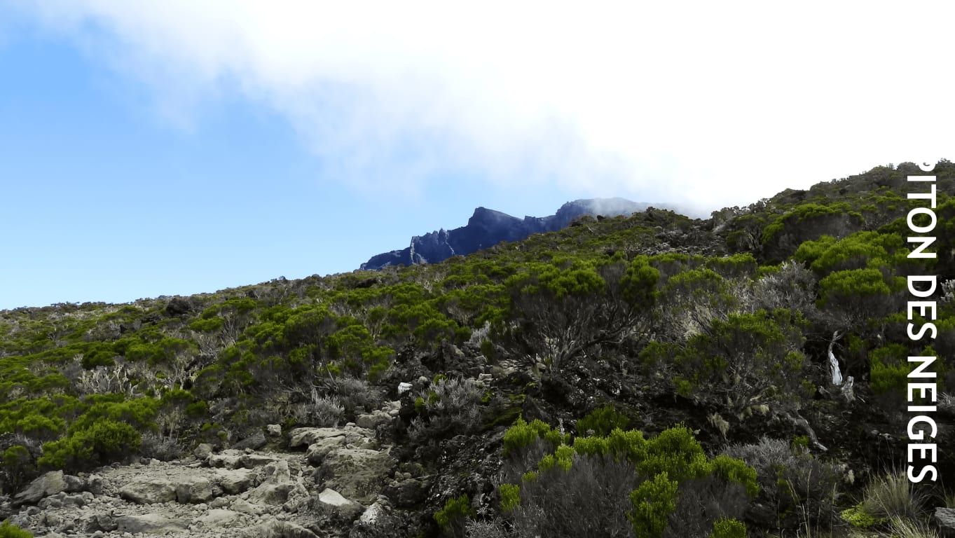 Randonnée guidée au sommet du Piton des Neiges
