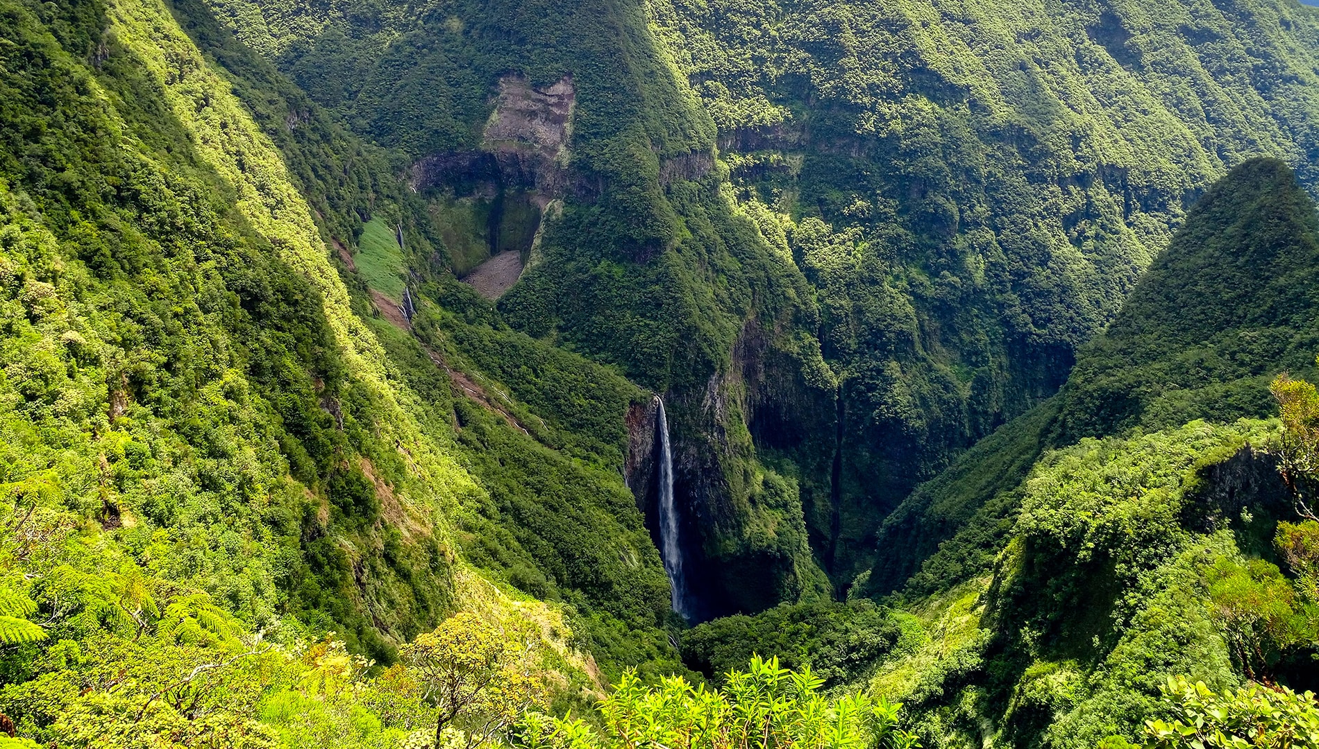Randonnée forêt de Bélouve et Trou de Fer dans le cirque de Salazie
